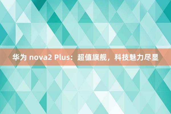 华为 nova2 Plus：超值旗舰，科技魅力尽显